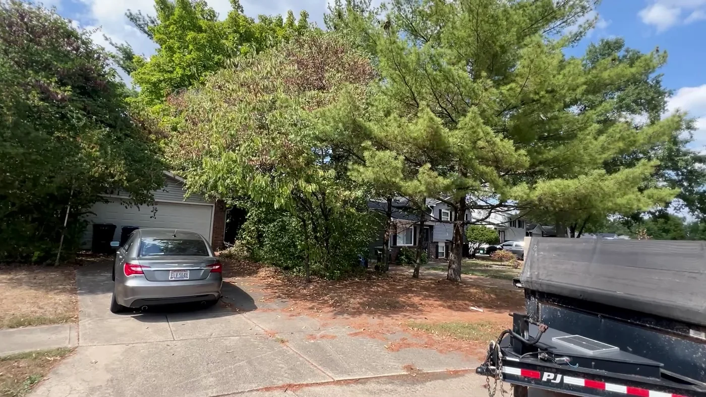 The property before, the house almost hidden behind an overgrown tree canopy over the driveway